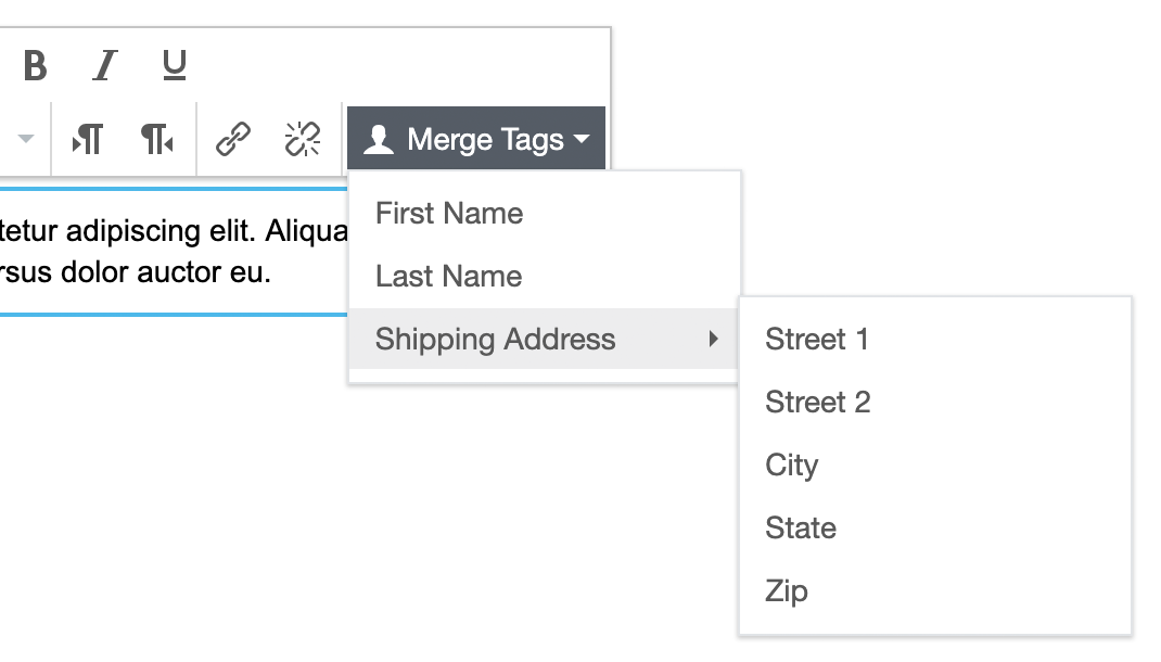 Merge Tags Interface